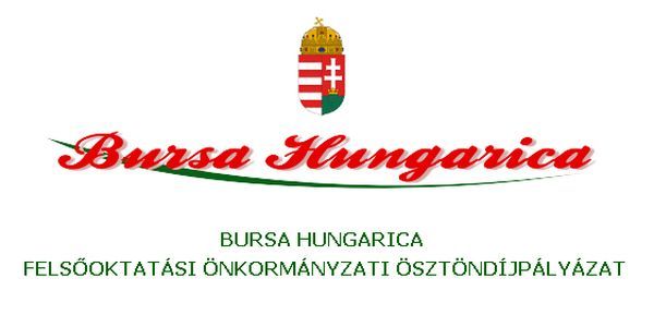 Bursa Hungarica 2017 Ösztöndíjpályázat